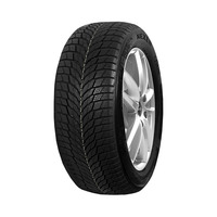 245/45  R18  Nexen Winguard Sport 2 100V XL (2021 г. в.)